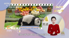 夜色天堂